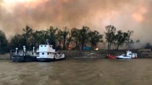 Continúan activos los incendios forestales en el Delta del Paraná