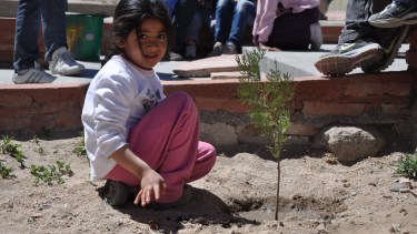Plantarán más de 1000 arboles para celebrar el Día del Árbol. Foto: archivo. 