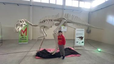 La muestra se exhibe desde el lunes en el Nodo de Cargas y Transportes. Foto: gentileza. 