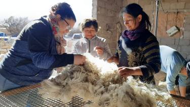 Con la esquila de cabras en la zona de Valcheta, se inició la zafra ganadera 2022/23. Foto: Miriam López.