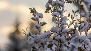 En la zona cordillerana, se registrarán algunas nevadas en los próximos días. Foto: archivo.-