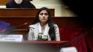 Perú: buscan a la cuñada del presidente Castillo acusada de corrupción