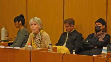 La defensora Espeche buscó sostener el pedido de sobreseimiento de Caffaratti, Mastandrea, Mascaró y Fasano, pero su planteo fue rechazado en dos instancias.