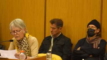 La abogada Espeche dijo que la exauditora del Colegio de Farmacéuticos "sólo remitía papeles". Detrás, los imputados Caffaratti y Mastandrea. (Foto: Juan Thomes) 