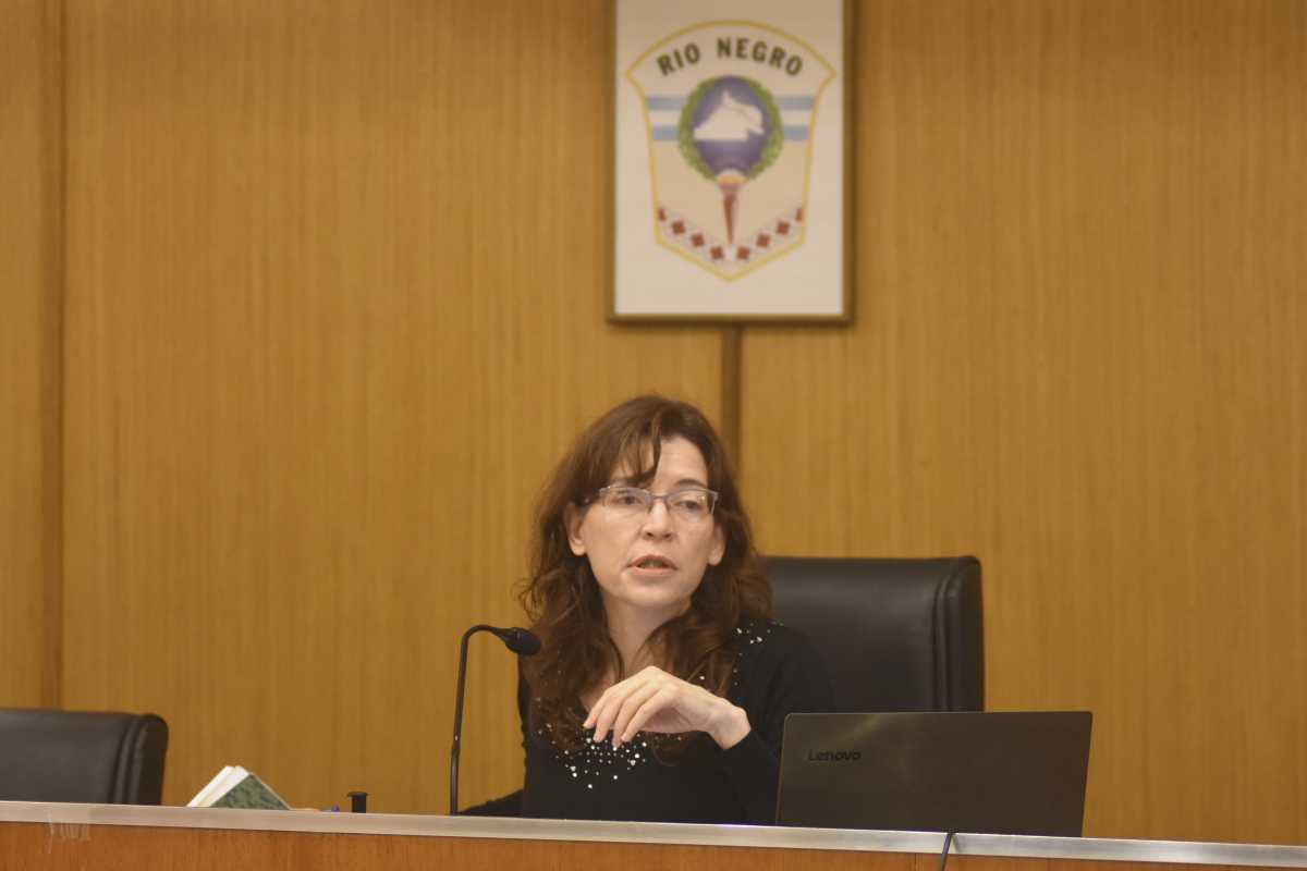 La jueza Natalia González deberá definir la semana próxima ante el pedido de la defensa de los cuatro acusados principales. (Foto: Juan Thomes)