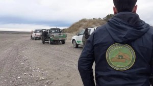 Auxiliaron a tres ballenas que estuvieron varadas en Caleta de Los Loros