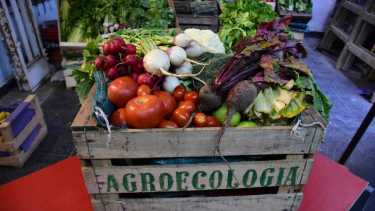 Se viene una feria agroecológica en la Universidad Nacional del Comahue. Foto: ilustrativa archivo