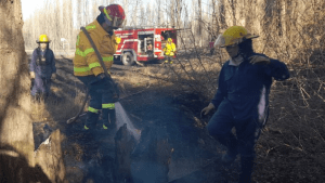 Aumentan los incendios por quemas de pastizales en Vista Alegre