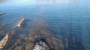 Cruces entre el EPAS y el Colectivo Ambiente Patagonia por el vertido de líquidos al río Limay