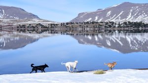 Continúan las buenas condiciones este miércoles: mirá el pronóstico de Río Negro y Neuquén