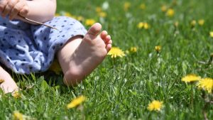 ¿Se asoma la primavera en la región? Mirá el pronóstico del martes en Río Negro y Neuquén