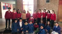 Imagen de Estudiantes de primaria representaron a Roca en la regional de las Olimpiadas de Matemática
