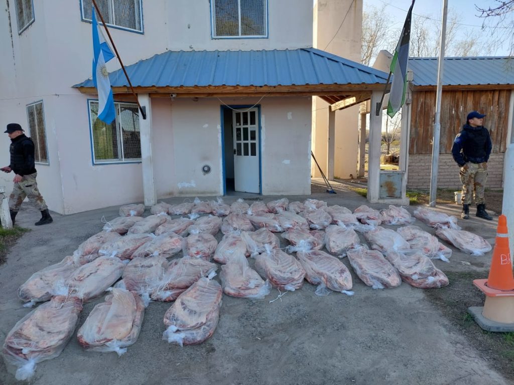 Secuestraron 80 costillares de carne vacuna en Valle Azul, valuados en aproximadamente 1,5 millones de pesos. Foto Gentileza.