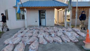 Valle Azul: secuestraron más de 1,5 millones de pesos en carne transportada de manera clandestina