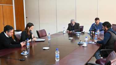 Fernández Novoa, Castelli, Mansilla, Salaburu, Blanco concurrieron a la comisión. Martínez lo hizo por Zoom. Foto Florencia Salto.