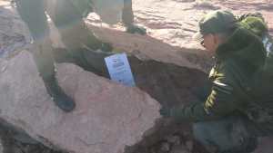 Encontraron nuevos fósiles de un dinosaurio en Los Barreales, en Neuquén