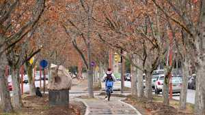 Continúa la polémica por la ciclovía de Cipolletti: solución o riesgo para los ciclistas