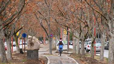 Aseguran que el circuito de la ciclovía se puede usar tanto para caminar como para andar en bicicleta. Foto: Flor Salto.