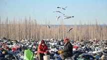 Imagen de En fotos te mostramos el trabajo diario de los recicladores del basural de Cipolletti