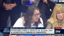 Imagen de En vivo: Diputados avanza en la Ley de Alcohol Cero al Volante