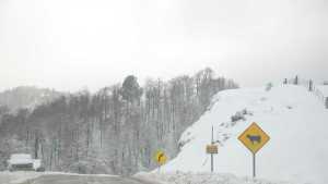 Pasos fronterizos y rutas de Neuquén intransitables por acumulación de nieve y viento blanco
