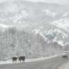 Imagen de Alerta por nieve en Neuquén para este lunes: los peores horarios y zonas afectadas