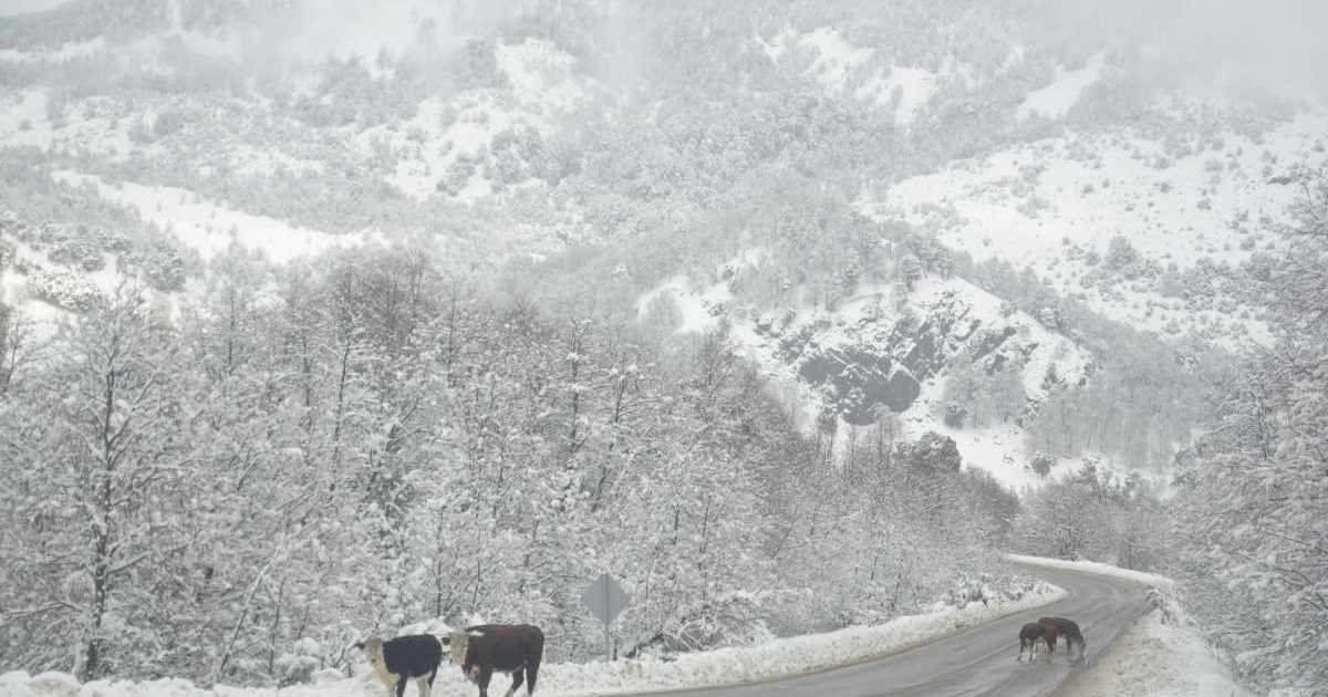 Alerta por nieve en Neuquén para este lunes: los peores horarios y zonas afectadas thumbnail