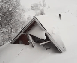 La avalancha ocurrió en la zona de la cota 1600 del centro de esquí Cerro Bayo de Villa La Angostura. (foto captura de video)