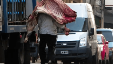 Adiós a la media res: buscan mayor eficiencia y mejores precios