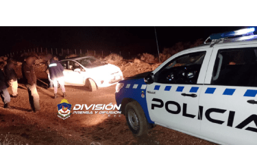 Continúan las denuncias y allanamientos por cazas furtivas en Neuquén. Foto: gentileza