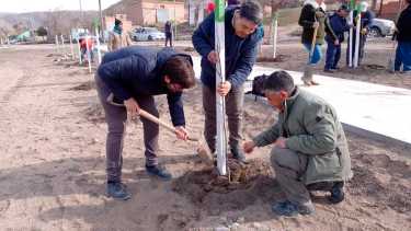 En fotos: así fue la celebración del Día del Árbol en Comallo