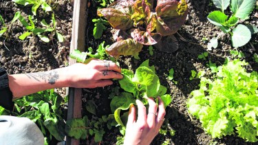 Foto: Matías Subat (archivo)