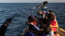 Imagen de Así se vive la temporada de avistaje de ballenas francas en Las Grutas 
