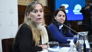 El kirchnerismo presentó su proyecto para crear un “refuerzo de ingresos” de $15.057 mensuales