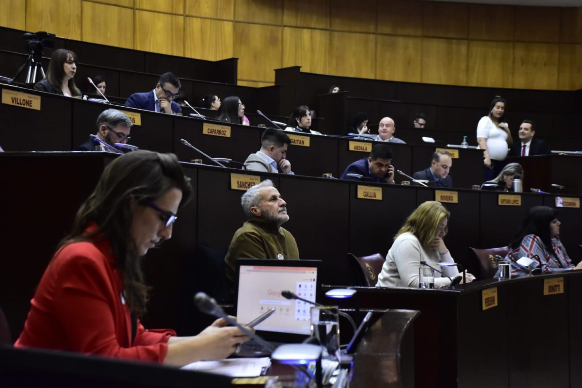 La Legislatura de Neuquén sesionó dos veces esta semana. Foto: archivo Yamil Regules.