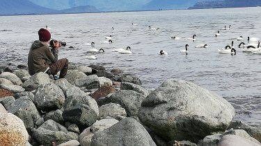 Los chicos estuvieron compartiendo sus experiencias de avistajes con contacto semanales por Zoom. 