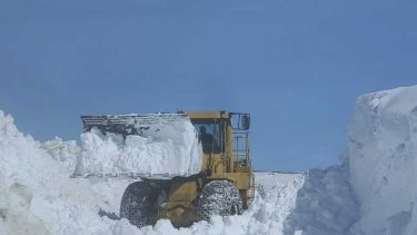 Pino Hachado es uno de los tránsitos más elegidos para circular. Foto: gentileza.-