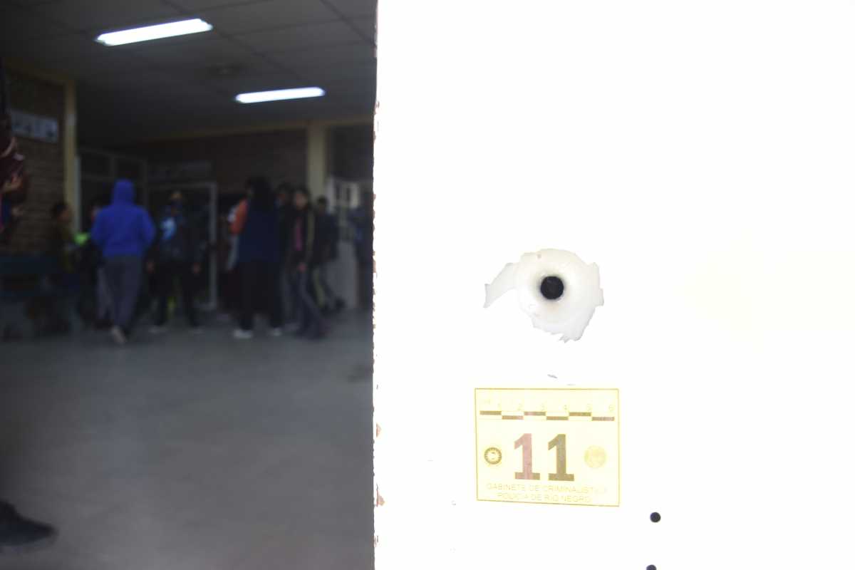 Los disparos impactaron en la puerta, paredes y escalinatas del acceso principal a la Escuela N° 357 de Roca. Foto Alejandro Carnevale.