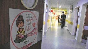 Lactancia materna y su rol clave en el desarrollo de niños sanos