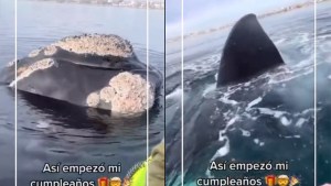 Se filmaron remando cerca de las ballenas y les iniciarán sumario en Puerto Madryn: mirá el video