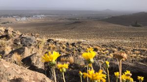 Paseos imperdibles para vivir los 106 años de Jacobacci, en la Región Sur de Río Negro
