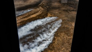 Ocho provincias registran focos activos de incendios forestales