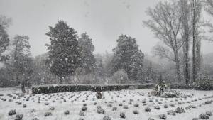 ¿Nieve en Córdoba? con esta sorpresa arrancaron el día de la primavera en las sierras