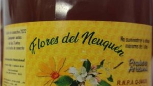 La Anmat prohibió comercializar una marca de miel de Neuquén