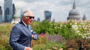 Carlos III, el nuevo rey: una personalidad incomprendida y poco querida por los británicos