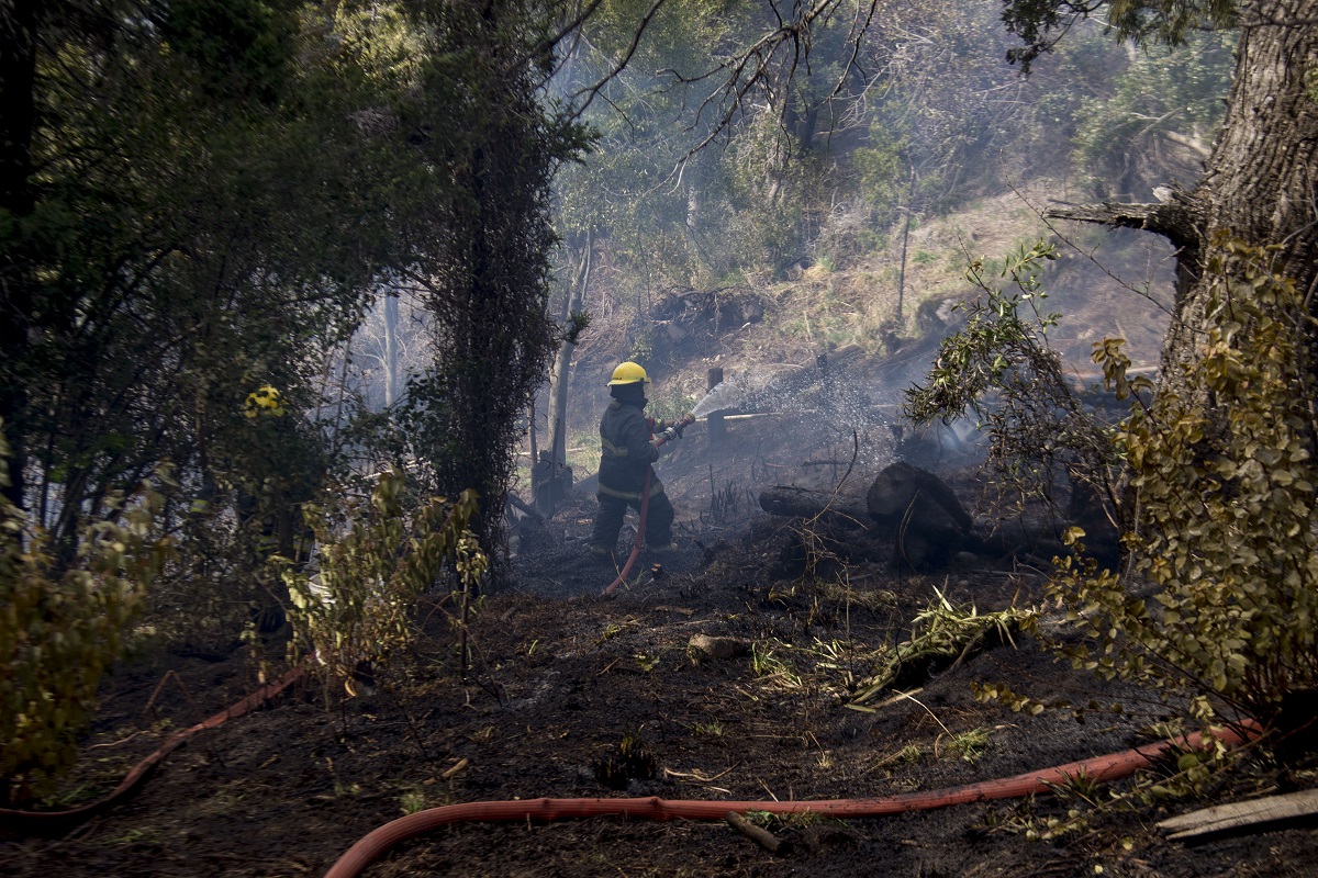 Los brigadistas intervinieron en un incendio forestal en la calle Tucumán. Foto: archivo