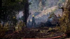 A pesar del invierno con nieve, preocupa la sequía y los incendios forestales en la región andina