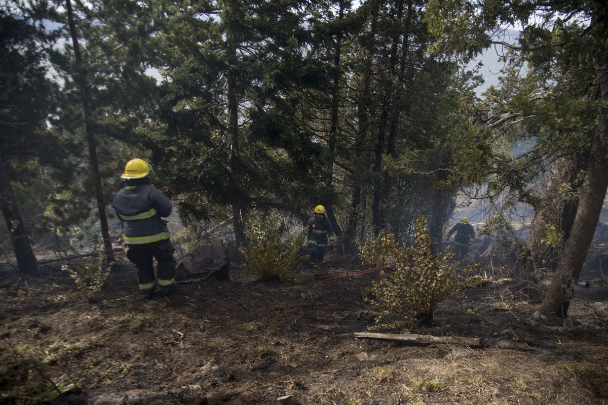 Bomberos voluntarios y brigadistas del Splif trabajaron en el lugar para controlar el incendio que se originó a pocas cuadras del centro de Bariloche. (foto Marcelo Martínez)