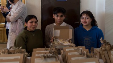 La caja Crunchie_4s cuesta 1.100 pesos. Foto: Marcelo Martínez