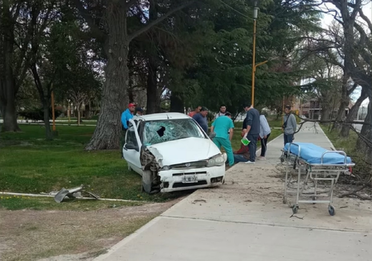 El conductor se desvaneció, perdió el control del auto y terminó arriba de una plaza. (Foto gentileza)